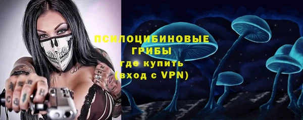 мдма Гусев