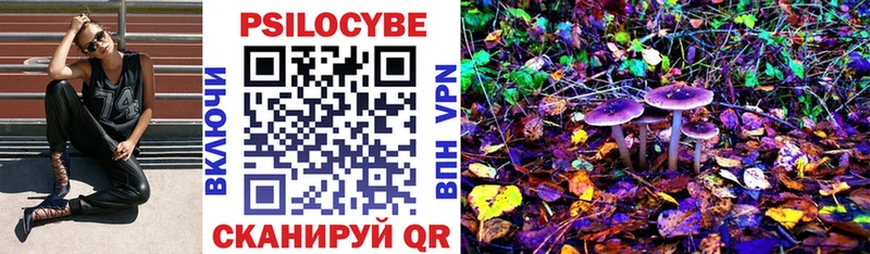 Купить  Теберда  Псилоцибиновые грибы MAGIC MUSHROOMS 